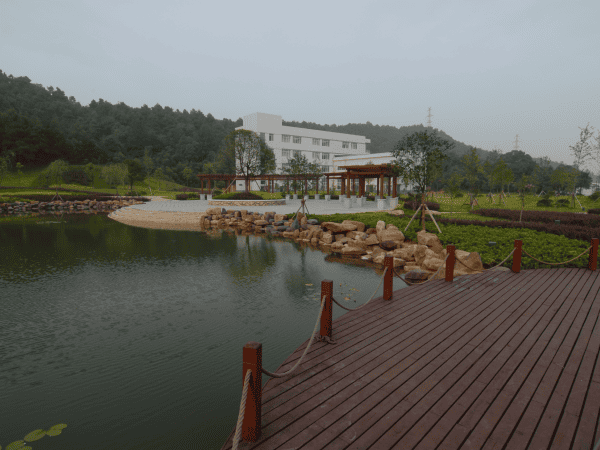 东升国际官网-追求康健,你我一起生长