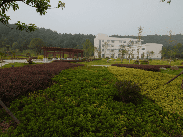 东升国际官网-追求康健,你我一起生长