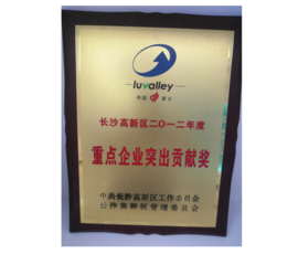 2012年长沙高新区2012年度重点企业突出孝顺奖