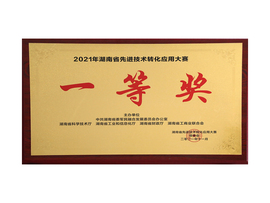 2021年湖南先进手艺转化应用大赛一等奖